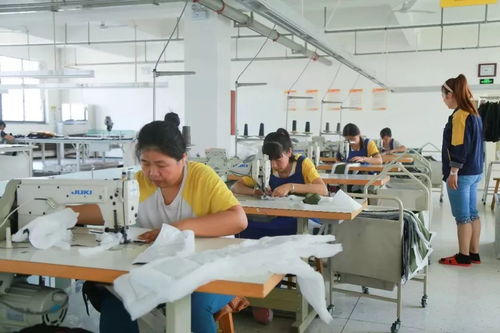 裘皮廠技術比武點 匠心技能比拼鑄就高端品質