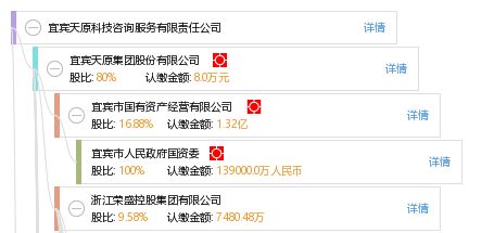 宜賓天原科技咨詢服務有限責任公司 專業信息技術咨詢服務引領企業數字化轉型
